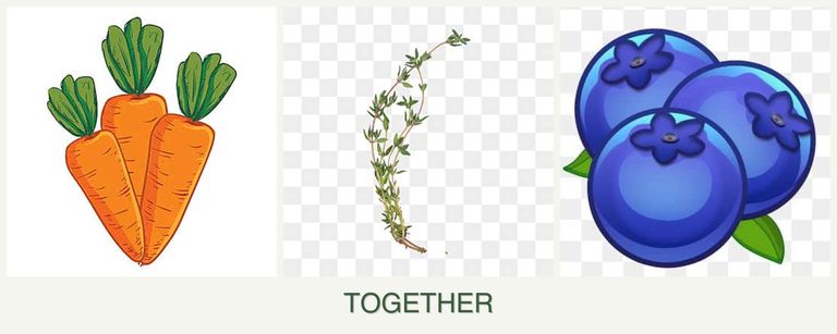 Can you plant carrots, thyme and blueberries together?