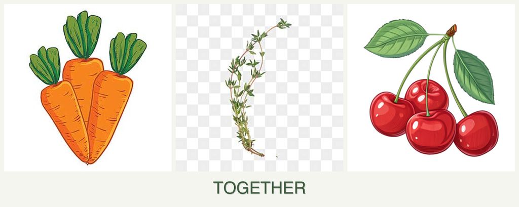 Can you plant carrots, thyme and cherries together?
