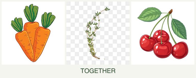 Can you plant carrots, thyme and cherries together?