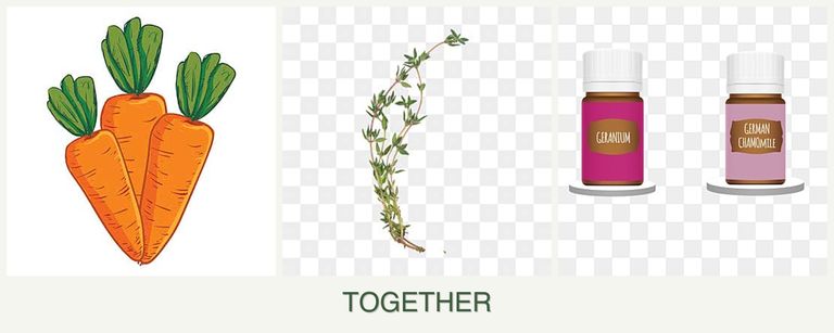 Can you plant carrots, thyme and geraniums together?