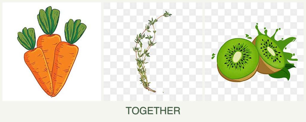 Can you plant carrots, thyme and kiwi together?