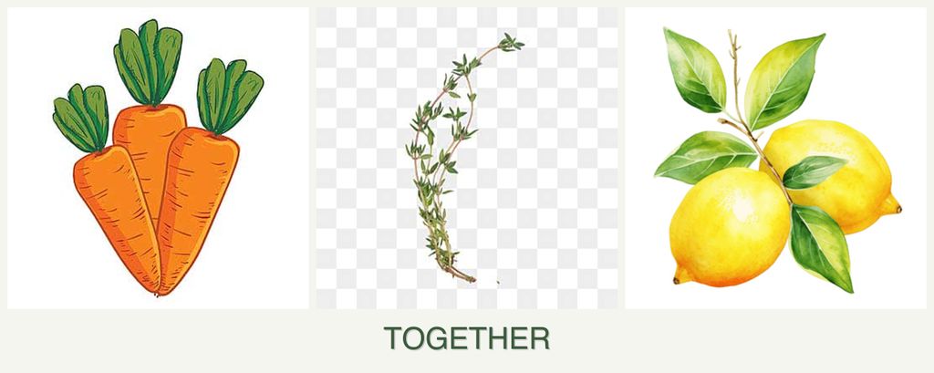 Can you plant carrots, thyme and lemons together?