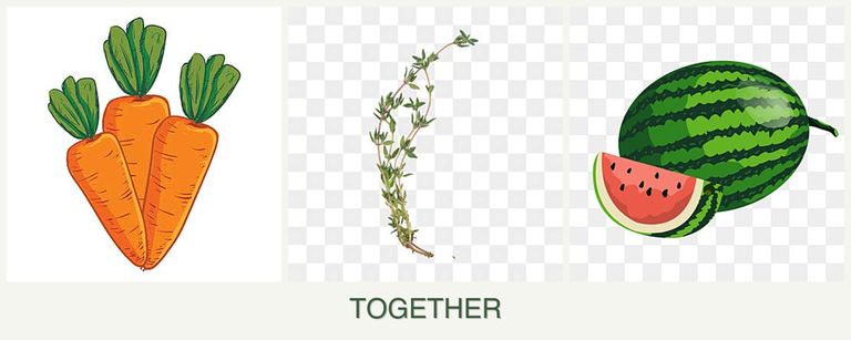 Can you plant carrots, thyme and melons together?