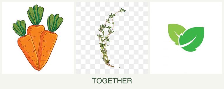 Can you plant carrots, thyme and mint together?