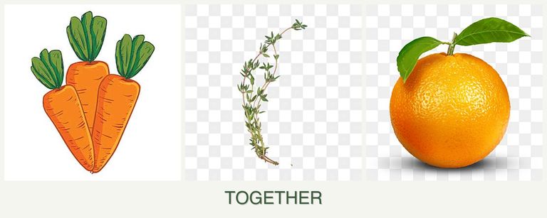 Can you plant carrots, thyme and oranges together?