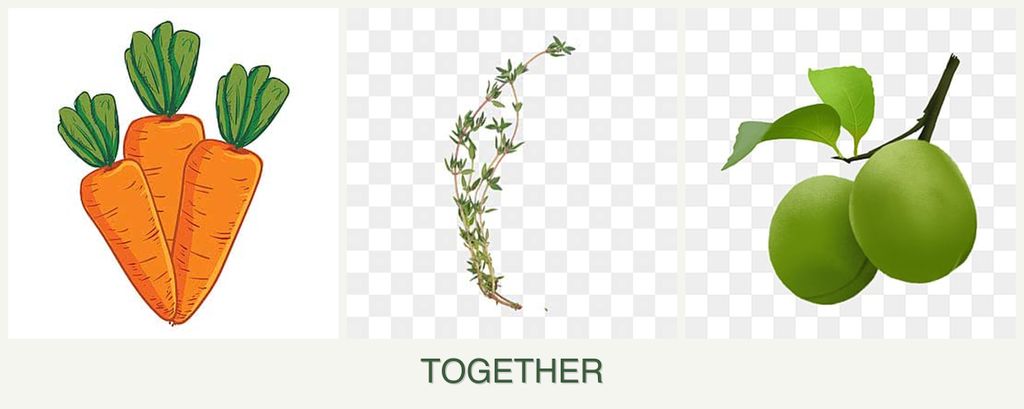 Can you plant carrots, thyme and plums together?