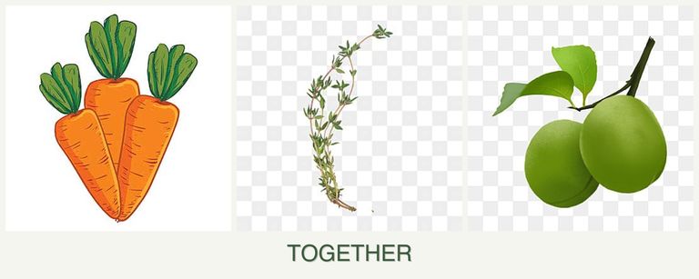 Can you plant carrots, thyme and plums together?