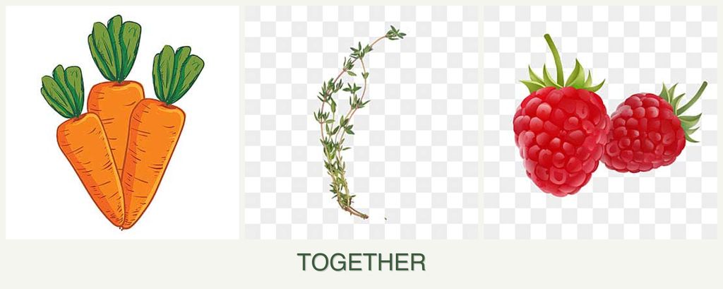 Can you plant carrots, thyme and raspberries together?