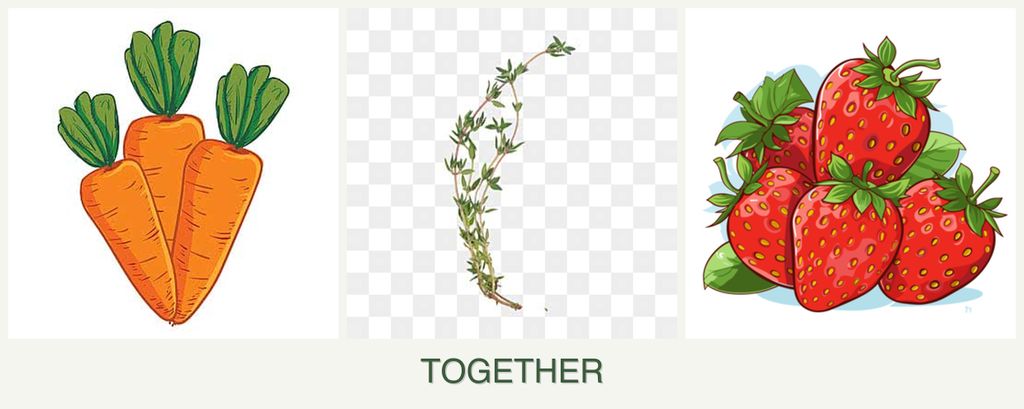 Can you plant carrots, thyme and strawberries together?