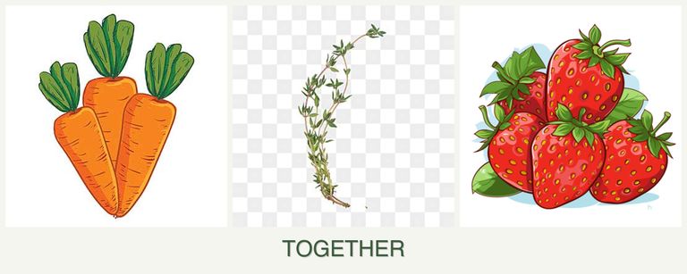 Can you plant carrots, thyme and strawberries together?