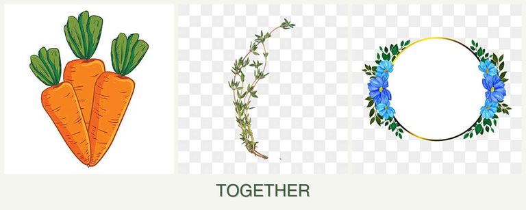 Can you plant carrots, thyme and zinnias together?