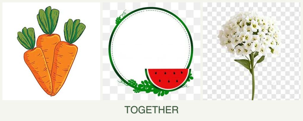 Can you plant carrots, watermelons and alyssum together?