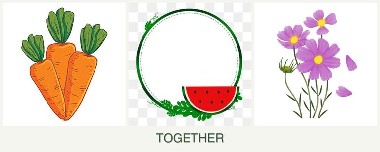 Can you plant carrots, watermelons and cosmos together?