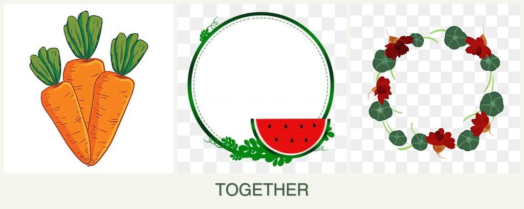 Can you plant carrots, watermelons and nasturtiums together?