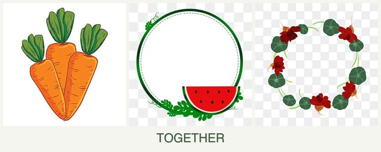 Can you plant carrots, watermelons and nasturtiums together?