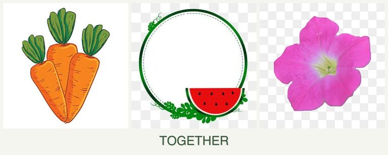 Can you plant carrots, watermelons and petunias together?
