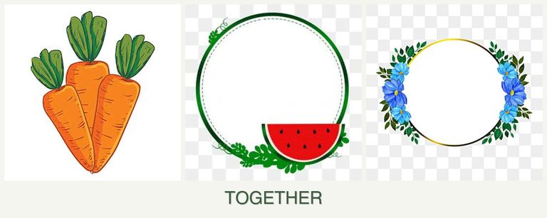 Can you plant carrots, watermelons and zinnias together?