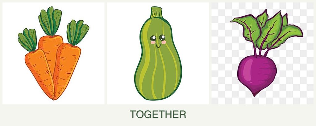 Can you plant carrots, zucchini and beets together?
