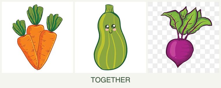 Can you plant carrots, zucchini and beets together?