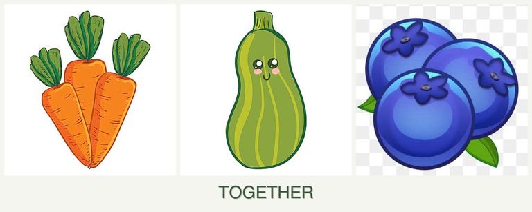 Can you plant carrots, zucchini and blueberries together?