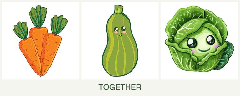 Can you plant carrots, zucchini and cabbage together?
