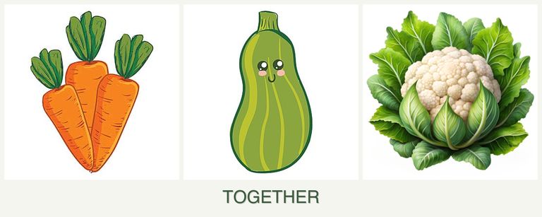 Can you plant carrots, zucchini and cauliflower together?