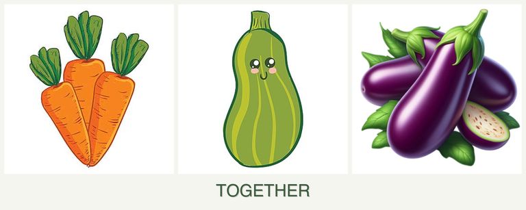 Can you plant carrots, zucchini and eggplant together?