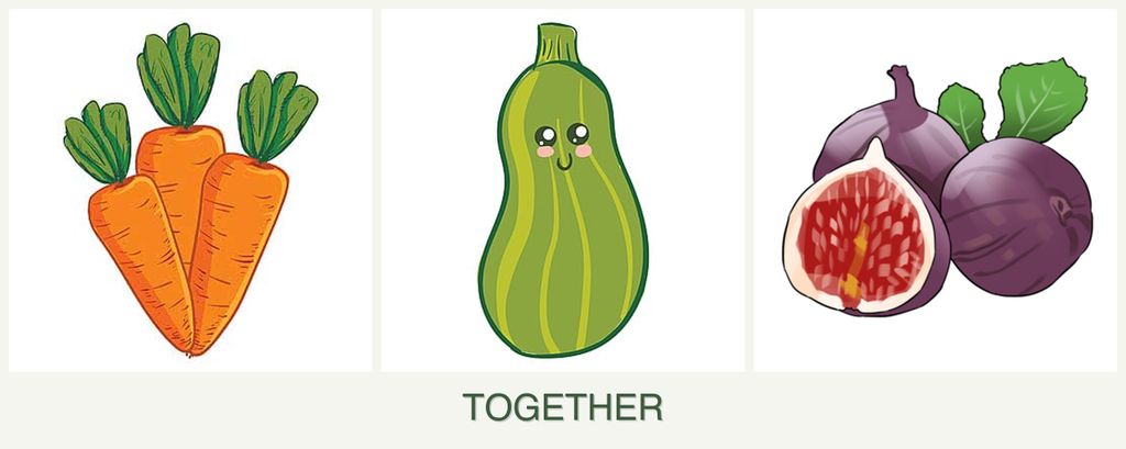 Can you plant carrots, zucchini and figs together?