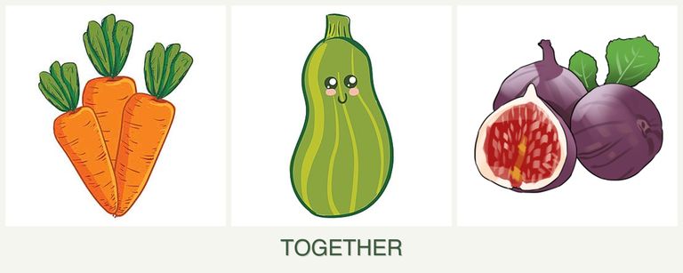 Can you plant carrots, zucchini and figs together?