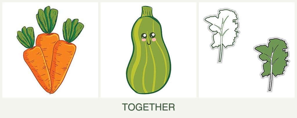 Can you plant carrots, zucchini and kale together?
