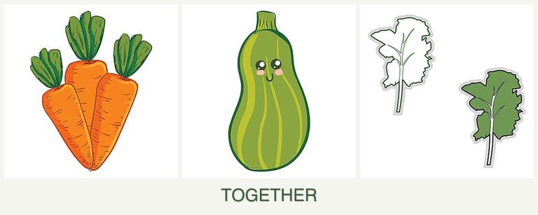 Can you plant carrots, zucchini and kale together?