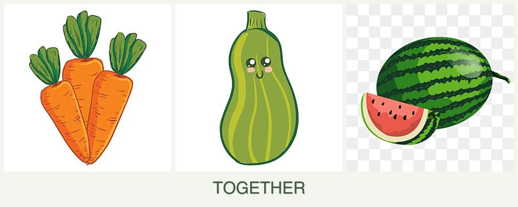 Can you plant carrots, zucchini and melons together?