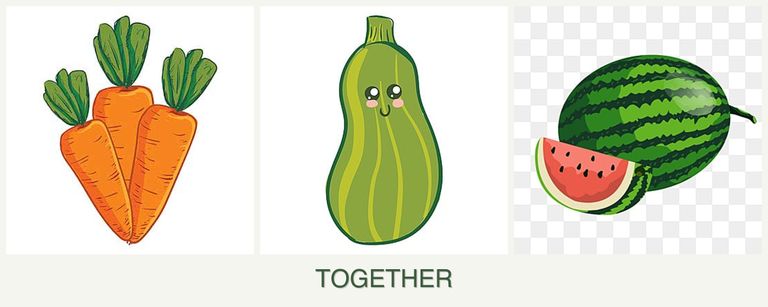 Can you plant carrots, zucchini and melons together?
