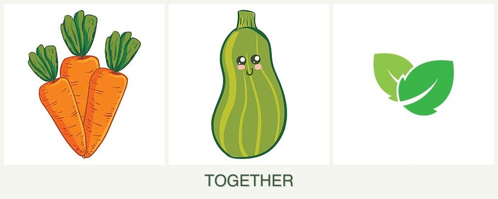 Can you plant carrots, zucchini and mint together?