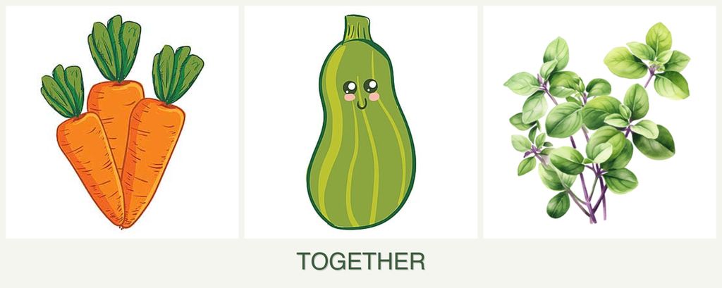 Can you plant carrots, zucchini and oregano together?