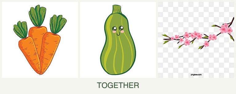 Can you plant carrots, zucchini and peaches together?