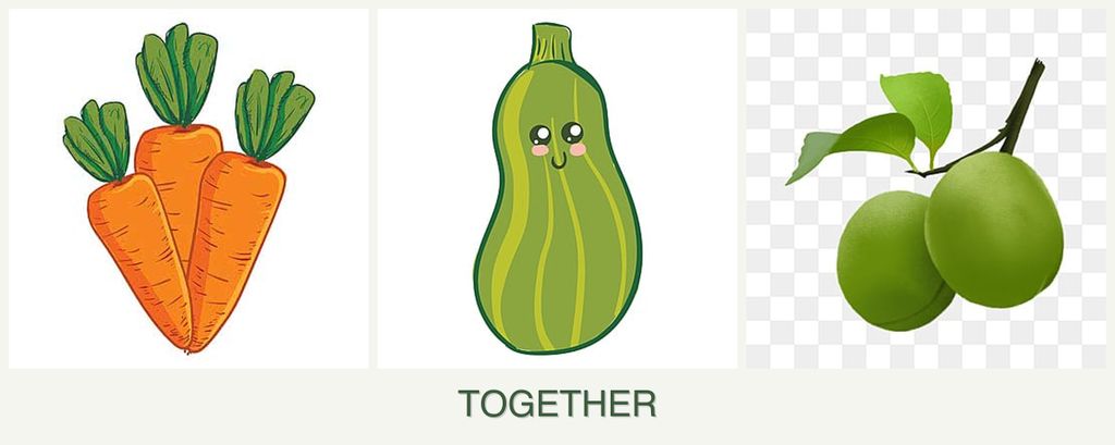 Can you plant carrots, zucchini and plums together?
