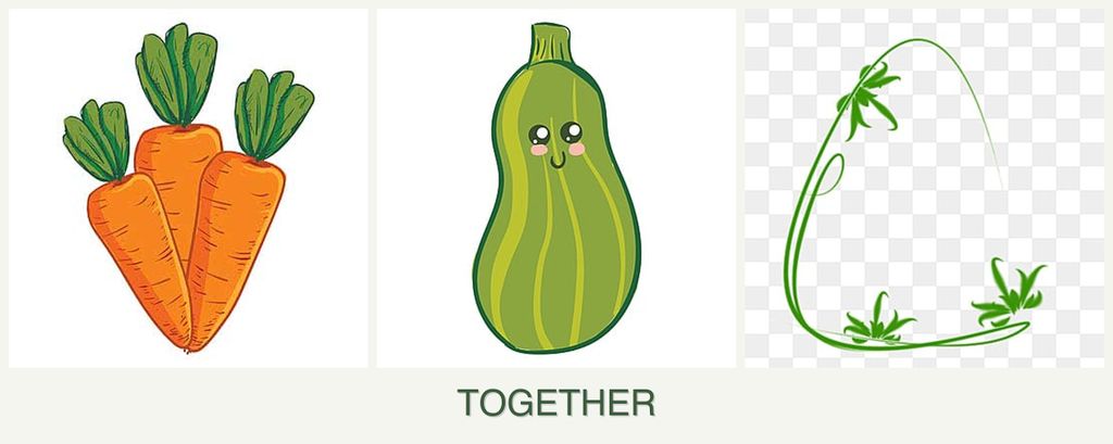Can you plant carrots, zucchini and tarragon together?