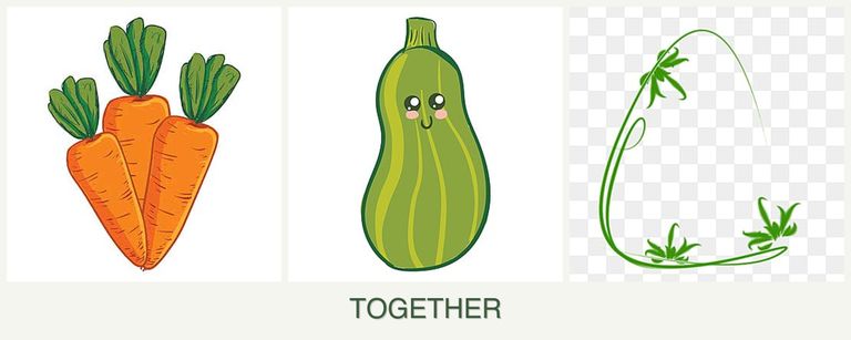 Can you plant carrots, zucchini and tarragon together?