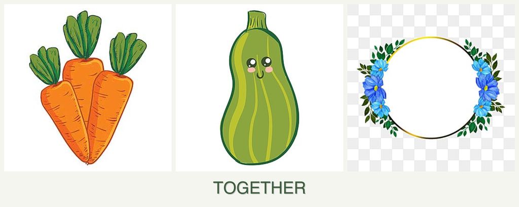 Can you plant carrots, zucchini and zinnias together?