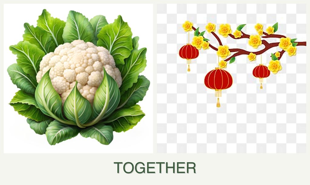 Can you plant cauliflower and apricots together?