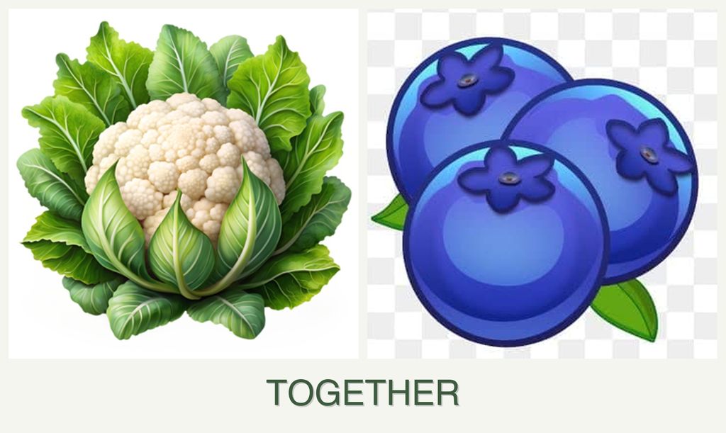 Can you plant cauliflower and blueberries together?
