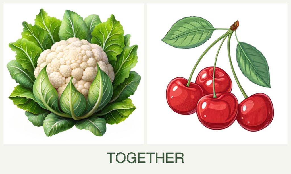 Can you plant cauliflower and cherries together?