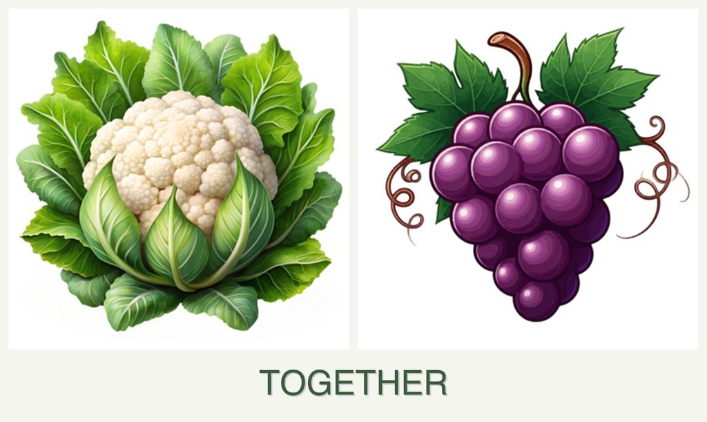 Can you plant cauliflower and grapes together?