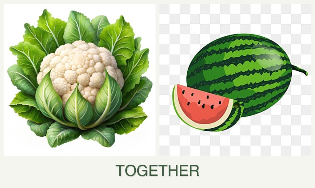 Can you plant cauliflower and melons together?