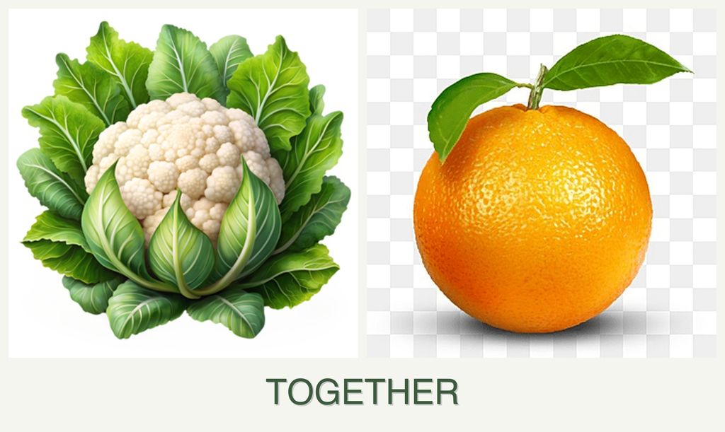 Can you plant cauliflower and oranges together?