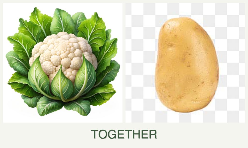 Can you plant cauliflower and potatoes together?