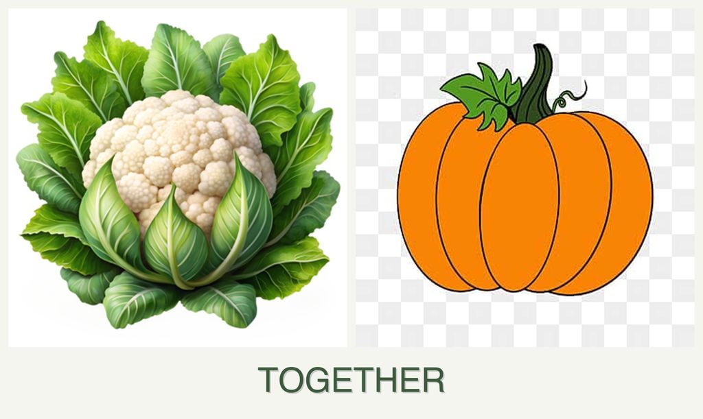 Can you plant cauliflower and pumpkin together?