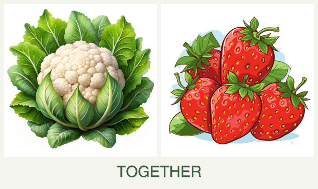 Can you plant cauliflower and strawberries together?