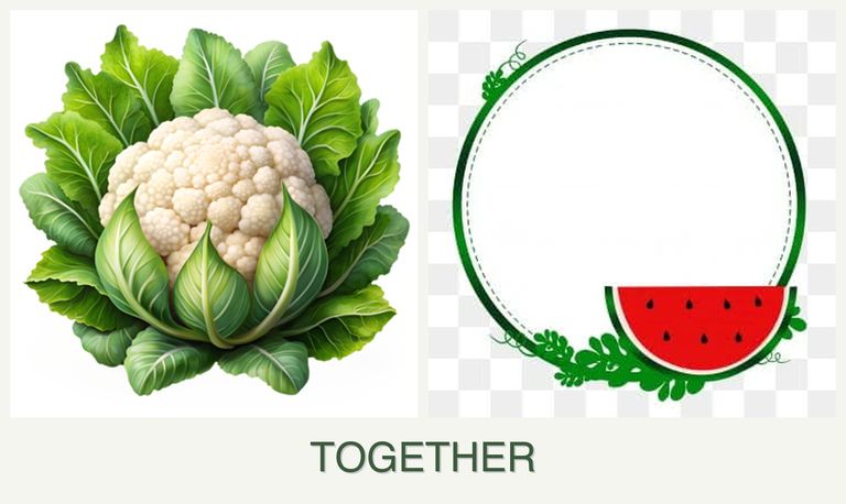 Can you plant cauliflower and watermelons together?